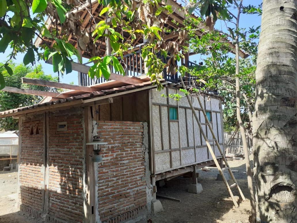 Sollo Sollo Homestay Lemonga Exterior foto